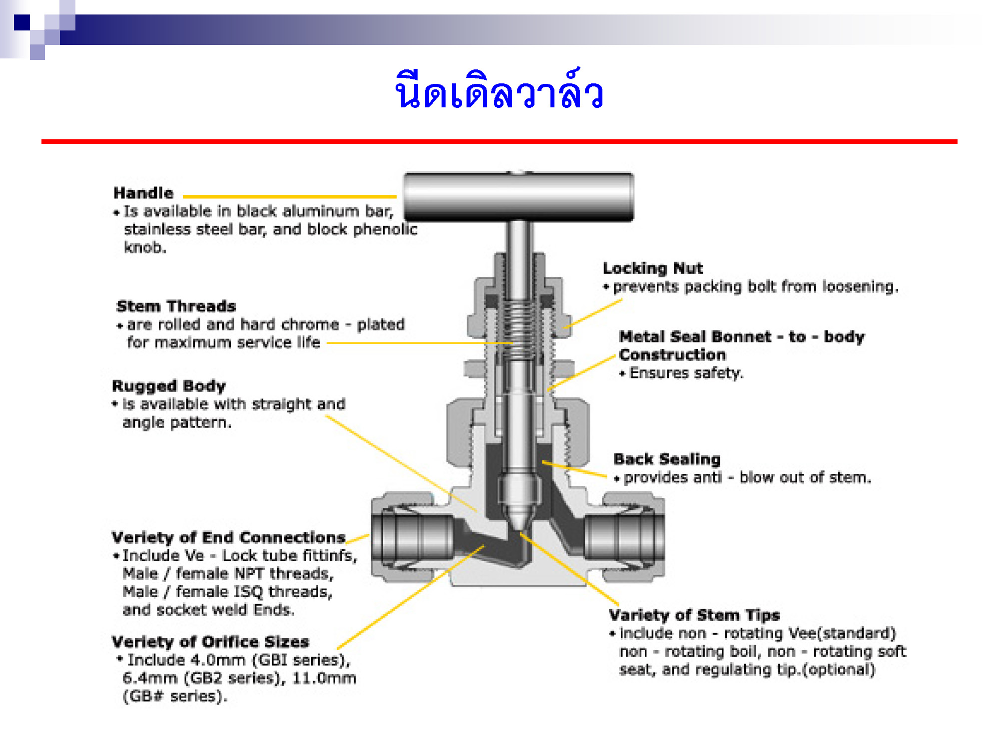 Type of steam valve фото 106